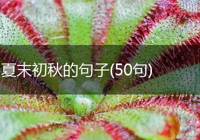 夏末初秋的句子(50句)