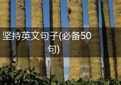 坚持英文句子(必备50句)