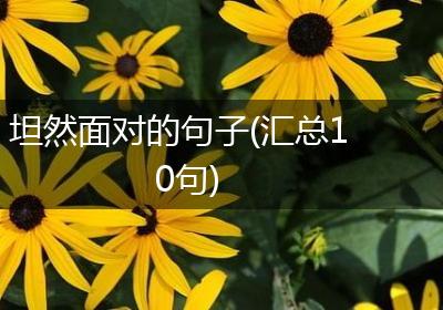 坦然面对的句子(汇总10句)