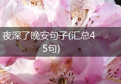 夜深了晚安句子(汇总45句)