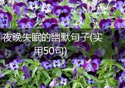 夜晚失眠的幽默句子(实用50句)