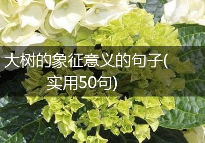 大树的象征意义的句子(实用50句)