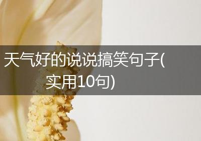 天气好的说说搞笑句子(实用10句)