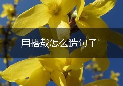 用搭载怎么造句子