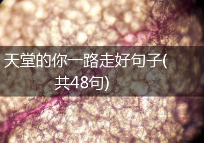 天堂的你一路走好句子(共48句)
