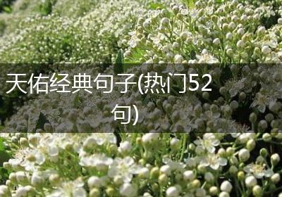 天佑经典句子(热门52句)