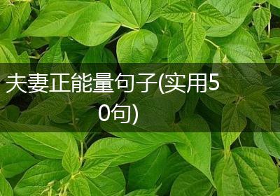 夫妻正能量句子(实用50句)