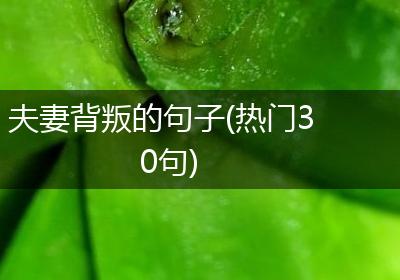 夫妻背叛的句子(热门30句)