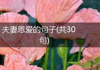夫妻恩爱的句子(共30句)