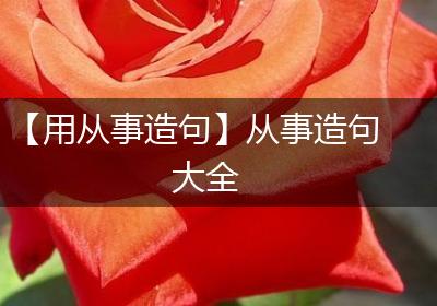 【用从事造句】从事造句大全