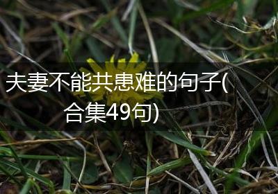 夫妻不能共患难的句子(合集49句)