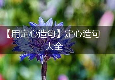 【用定心造句】定心造句大全