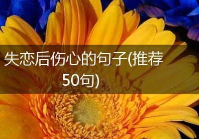 失恋后伤心的句子(推荐50句)