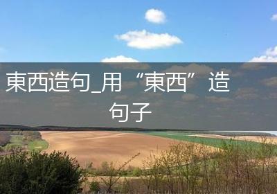 東西造句_用“東西”造句子