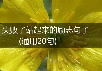 失败了站起来的励志句子(通用20句)