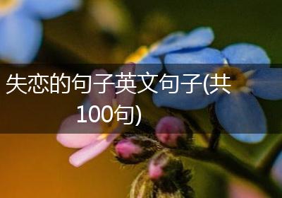 失恋的句子英文句子(共100句)