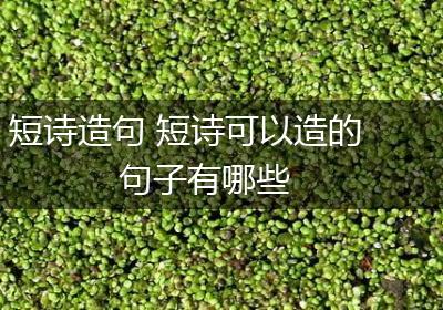 短诗造句 短诗可以造的句子有哪些