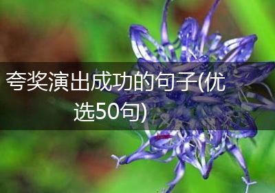 夸奖演出成功的句子(优选50句)