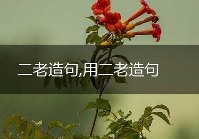 二老造句,用二老造句