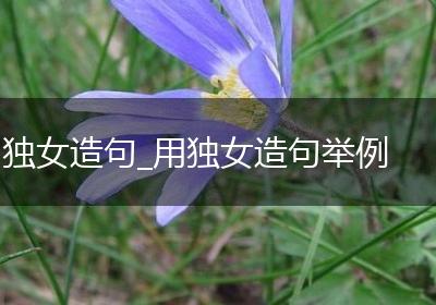 独女造句_用独女造句举例