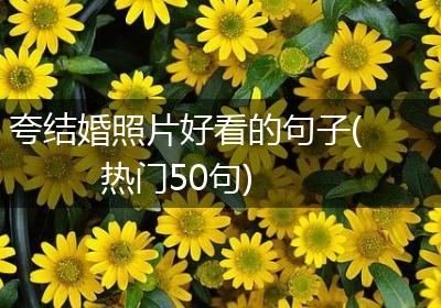 夸结婚照片好看的句子(热门50句)