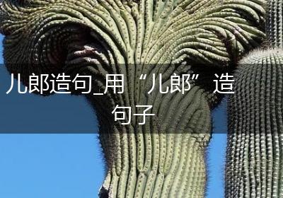 儿郎造句_用“儿郎”造句子