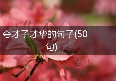 夸才子才华的句子(50句)