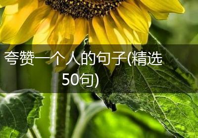 夸赞一个人的句子(精选50句)