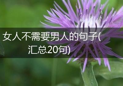 女人不需要男人的句子(汇总20句)
