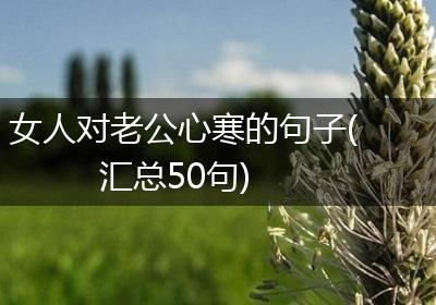 女人对老公心寒的句子(汇总50句)