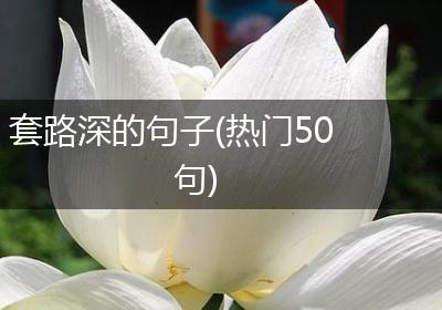 套路深的句子(热门50句)