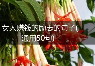 女人赚钱的励志的句子(通用50句)