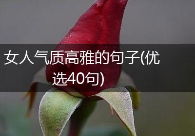 女人气质高雅的句子(优选40句)