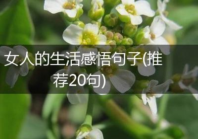 女人的生活感悟句子(推荐20句)