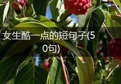 女生酷一点的短句子(50句)