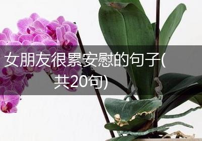 女朋友很累安慰的句子(共20句)