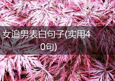 女追男表白句子(实用40句)