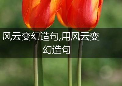 风云变幻造句,用风云变幻造句