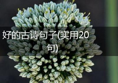 好的古诗句子(实用20句)