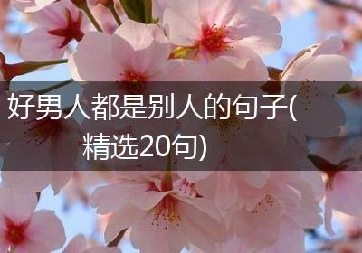 好男人都是别人的句子(精选20句)