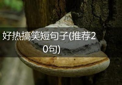 好热搞笑短句子(推荐20句)