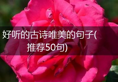 好听的古诗唯美的句子(推荐50句)