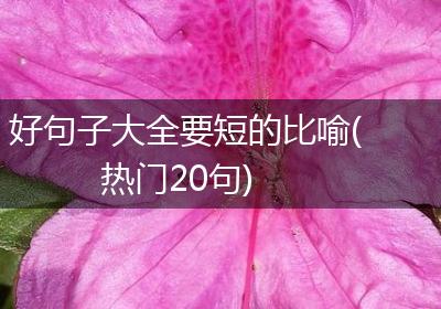 好句子大全要短的比喻(热门20句)