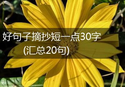 好句子摘抄短一点30字(汇总20句)