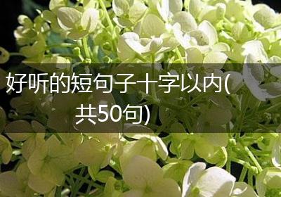 好听的短句子十字以内(共50句)