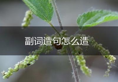副词造句怎么造
