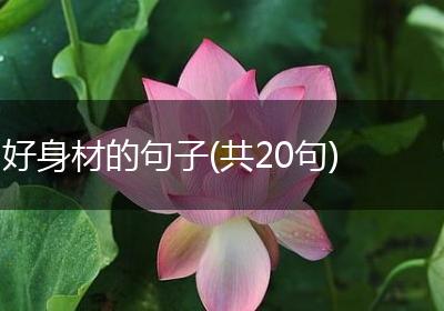 好身材的句子(共20句)