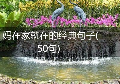 妈在家就在的经典句子(50句)