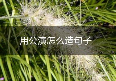 用公演怎么造句子