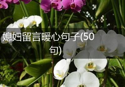 媳妇留言暖心句子(50句)